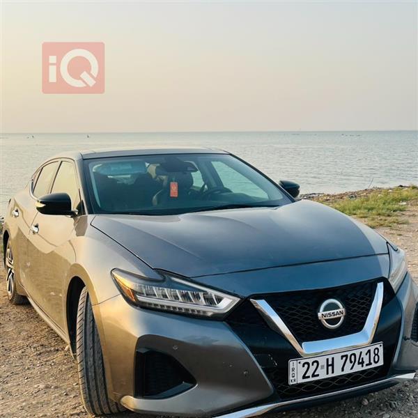 Nissan for sale in Iraq